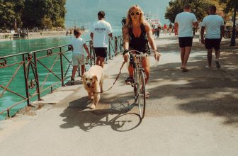 Kan elcykel medbringes på bilferie?