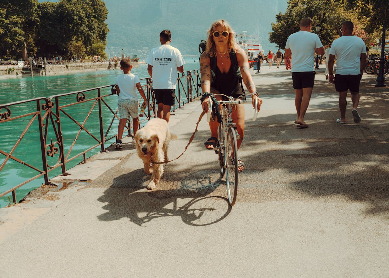 Kan elcykel medbringes på bilferie? 1